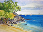 Barbra Swain's St. John Gallery