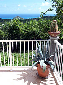 View from the porch at Caneel Trailside